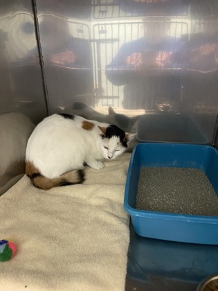 Learn More About 85398