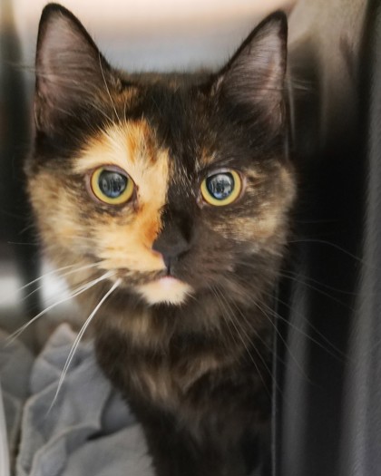 Learn More About Shelly Photo of Shelly