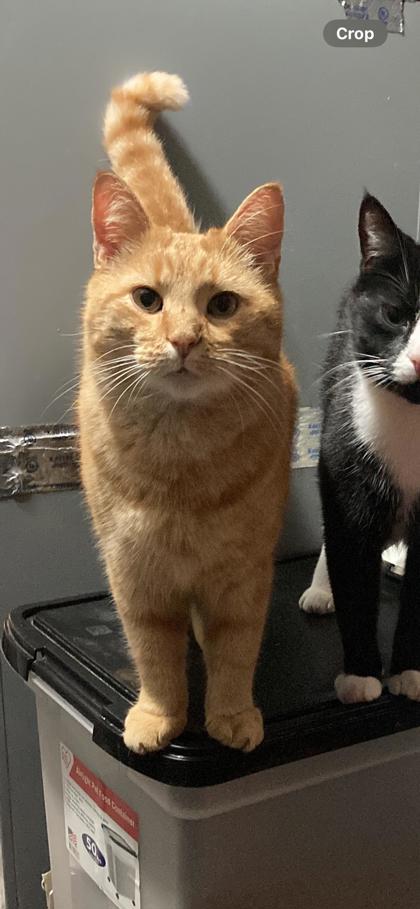 Learn More About 59427552