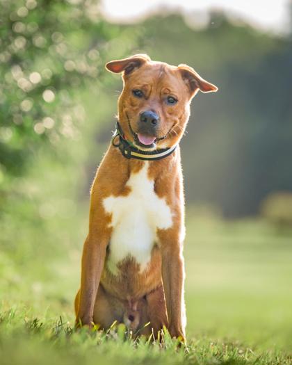 Learn More About Arlo Photo of Arlo