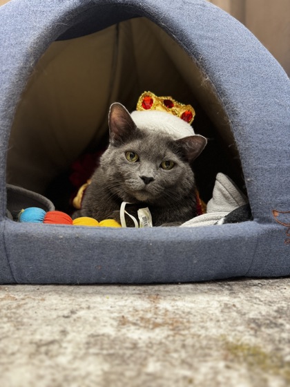 Learn More About Hootie