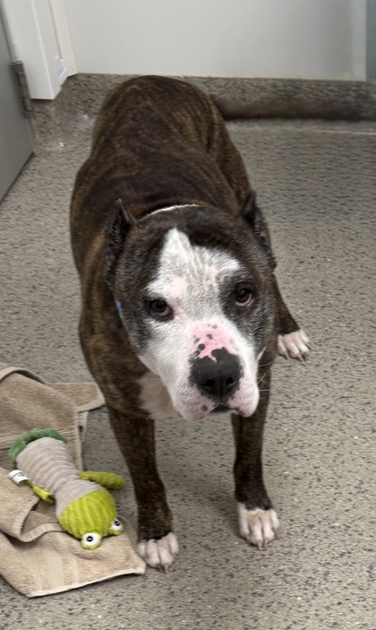 Tyson