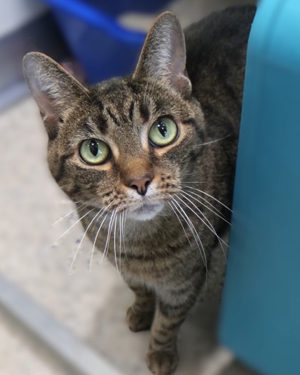 Learn More About Buster