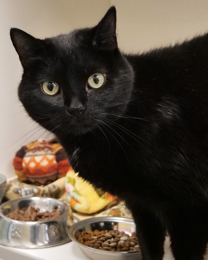 Learn More About Molly Photo of Molly