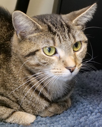 Learn More About Gladys Photo of Gladys