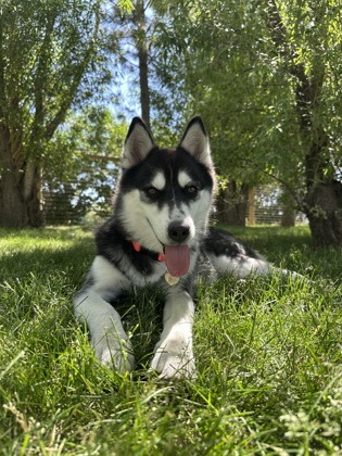 Bill *In Foster*2