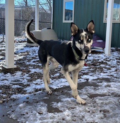 Ash (Special Counseling Required)