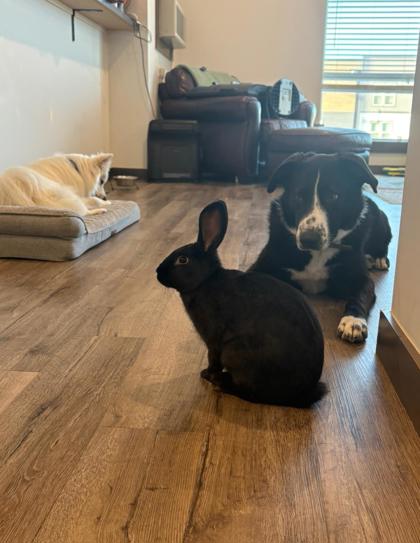 Waffle *Appointment required* photo 2