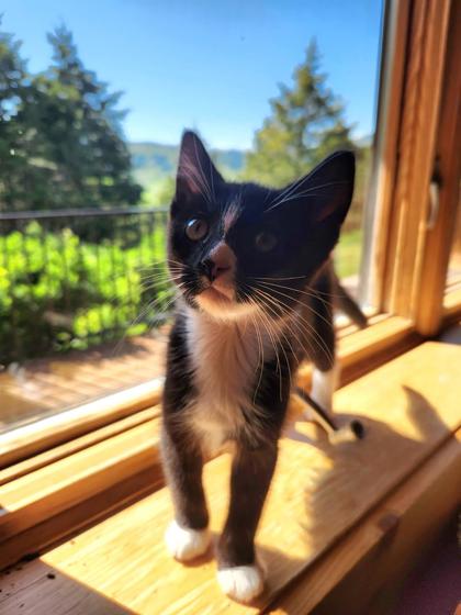 Minnie