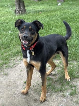 Miles *In Foster*3