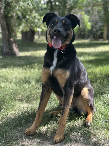 Miles *In Foster*2