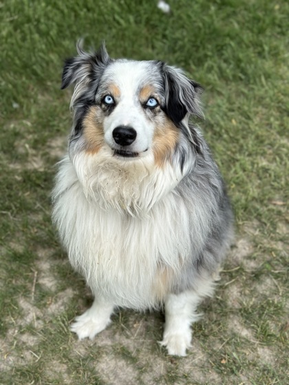 Jax