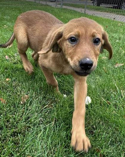 Martha *At Petco on 11/7*