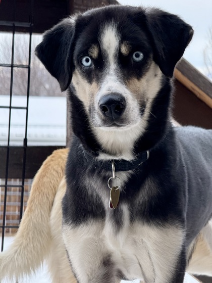 Cypress *Appointment required* photo 2