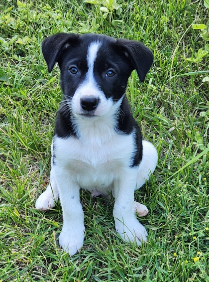 Wyatt *In Foster*
