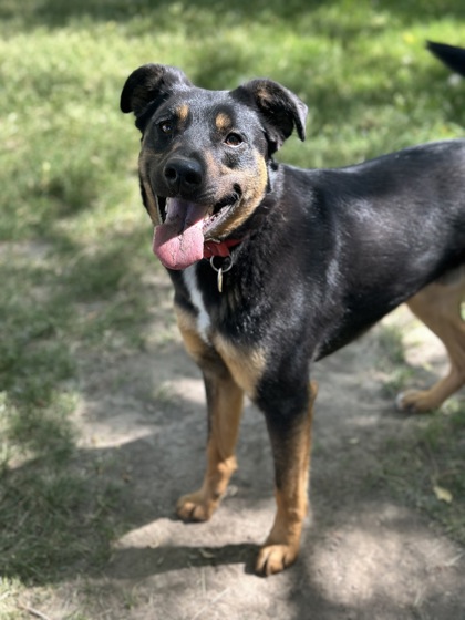 Miles *In Foster*