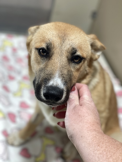 Celeste *At Petco Event on 6/7*2