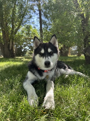 Bill *In Foster*3