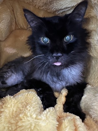 Azriel * Sponsored Adoption *