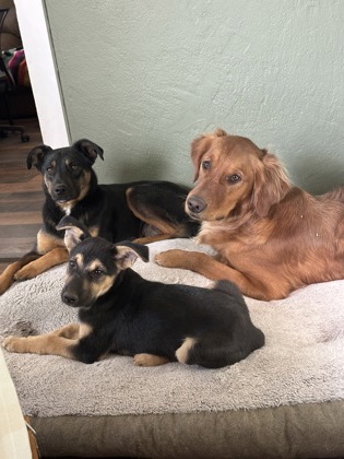 Miles *In Foster*3