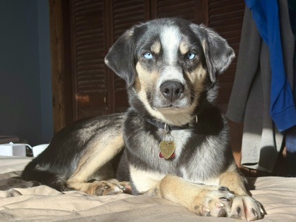 Cypress *Appointment required* photo