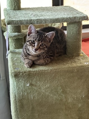 Ginny *In Foster*3