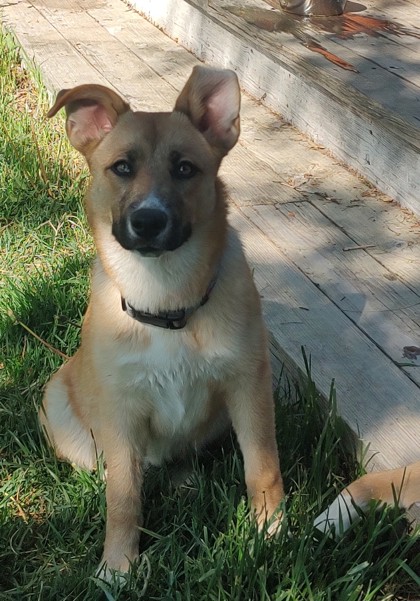 Celeste *At Petco Event on 6/7*3