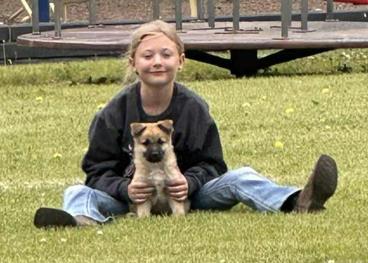 Roo *In Foster*2