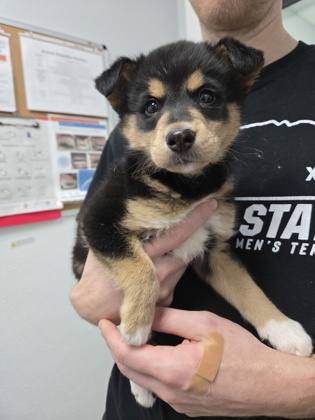 Victor *By Appointment Only*