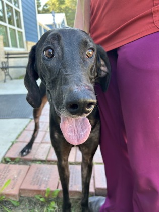 07679B Tucker