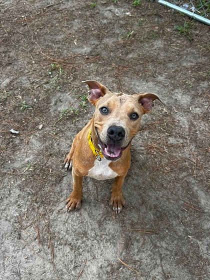 05412B Rudy photo