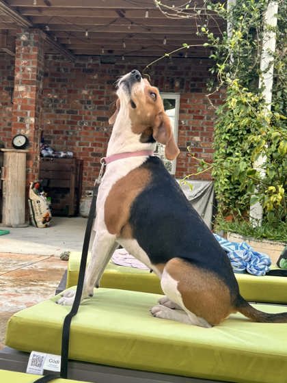 04056B Annalee photo