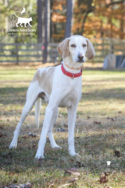 3123B Lennon Adoption Ambassador photo