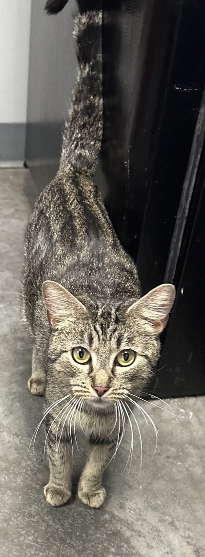 00483B Sabrina photo