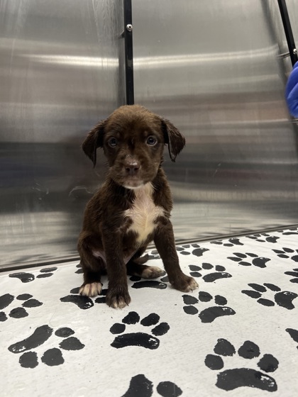 08719B Murphy