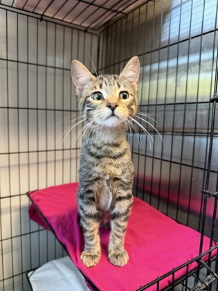 Jim - Pet Supplies Plus - Goose Creek photo