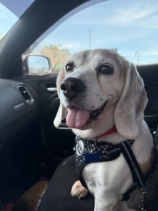 2622b Mildred Adoption Ambassador photo