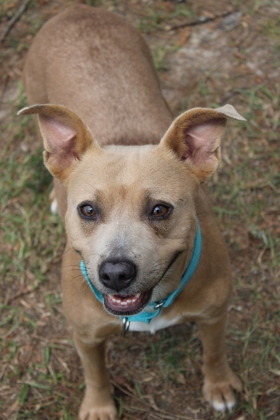 3423B Bay Bay Adoption Ambassador photo