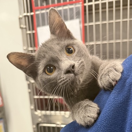 00041B Johnnie photo