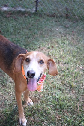 01137B Morgan photo