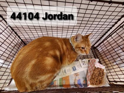 44104A Jordan