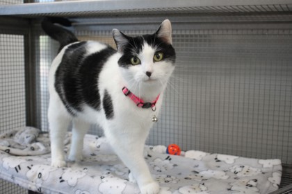 01658B Susan [SPONSORED] photo