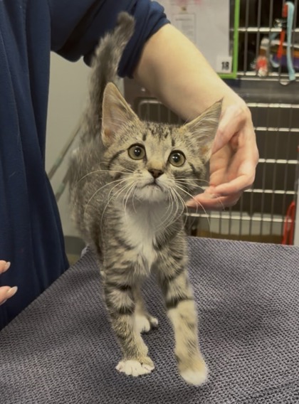 01457b Charlie photo