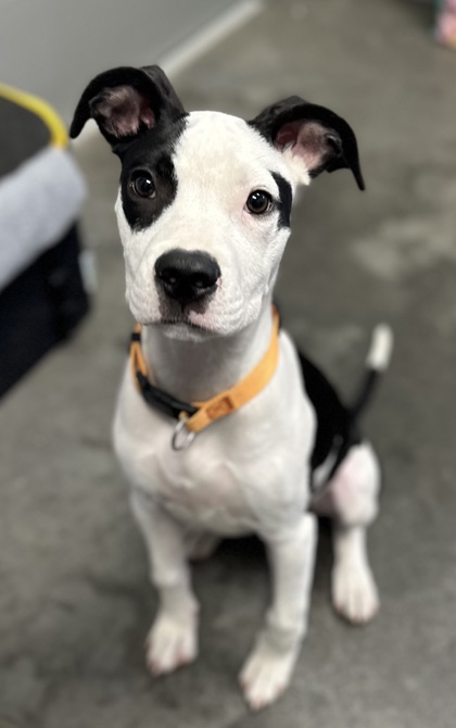 05419b Laura photo