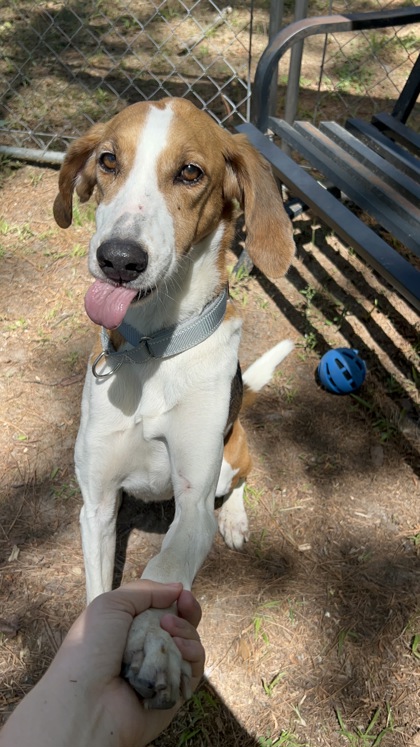 05765B JD- Adoption Ambassador photo