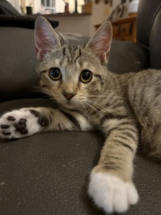 06694B Theodore photo