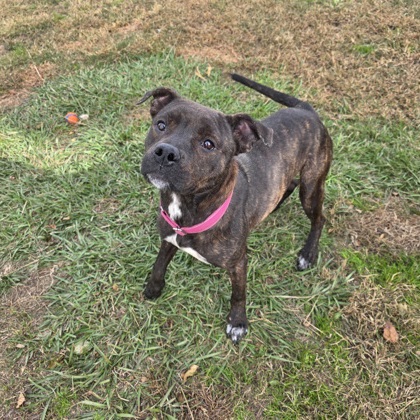 0180B Princess Raya - Adoption Ambassador photo