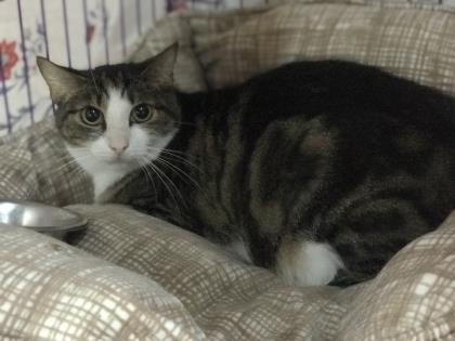Image of Minnie