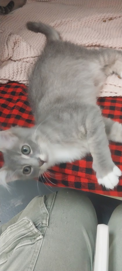 Valjean