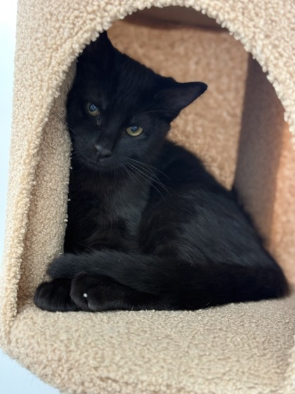 Image of Tom